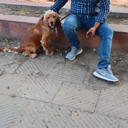 WhatsApp Image 2024-11-18 at 2.23.29 PM (1)