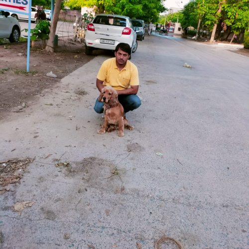 WhatsApp Image 2024-11-18 at 2.23.30 PM